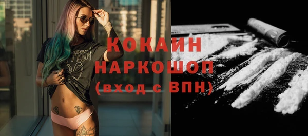 бошки Белокуриха